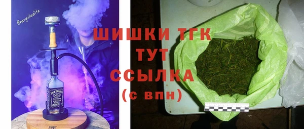молекула духа Алексеевка