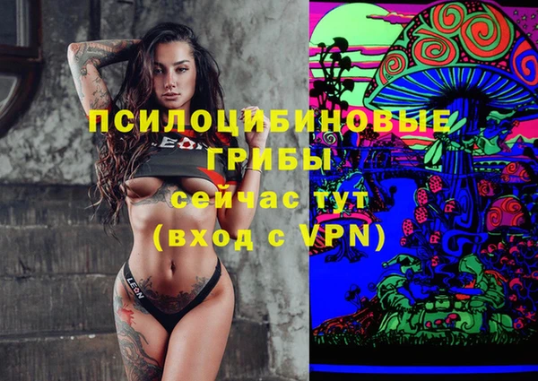 ПСИЛОЦИБИНОВЫЕ ГРИБЫ Алзамай
