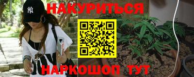 дживик Аша
