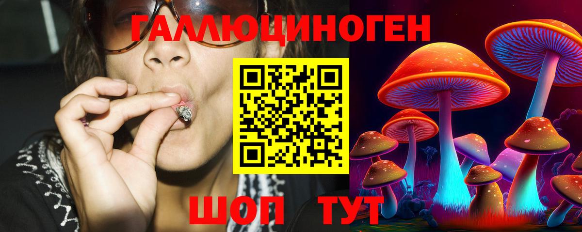 где найти наркотики  Галлюциногенные грибы MAGIC MUSHROOMS  Вход с VPN  Бахчисарай 
